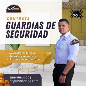 Empresa de seguridad en Carlsbad