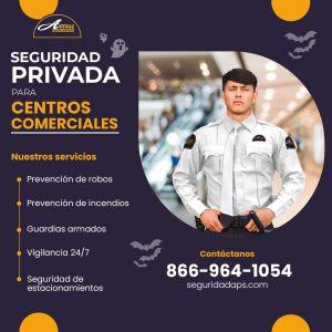 Seguridad y Vigilancia para Negocios en Chicago