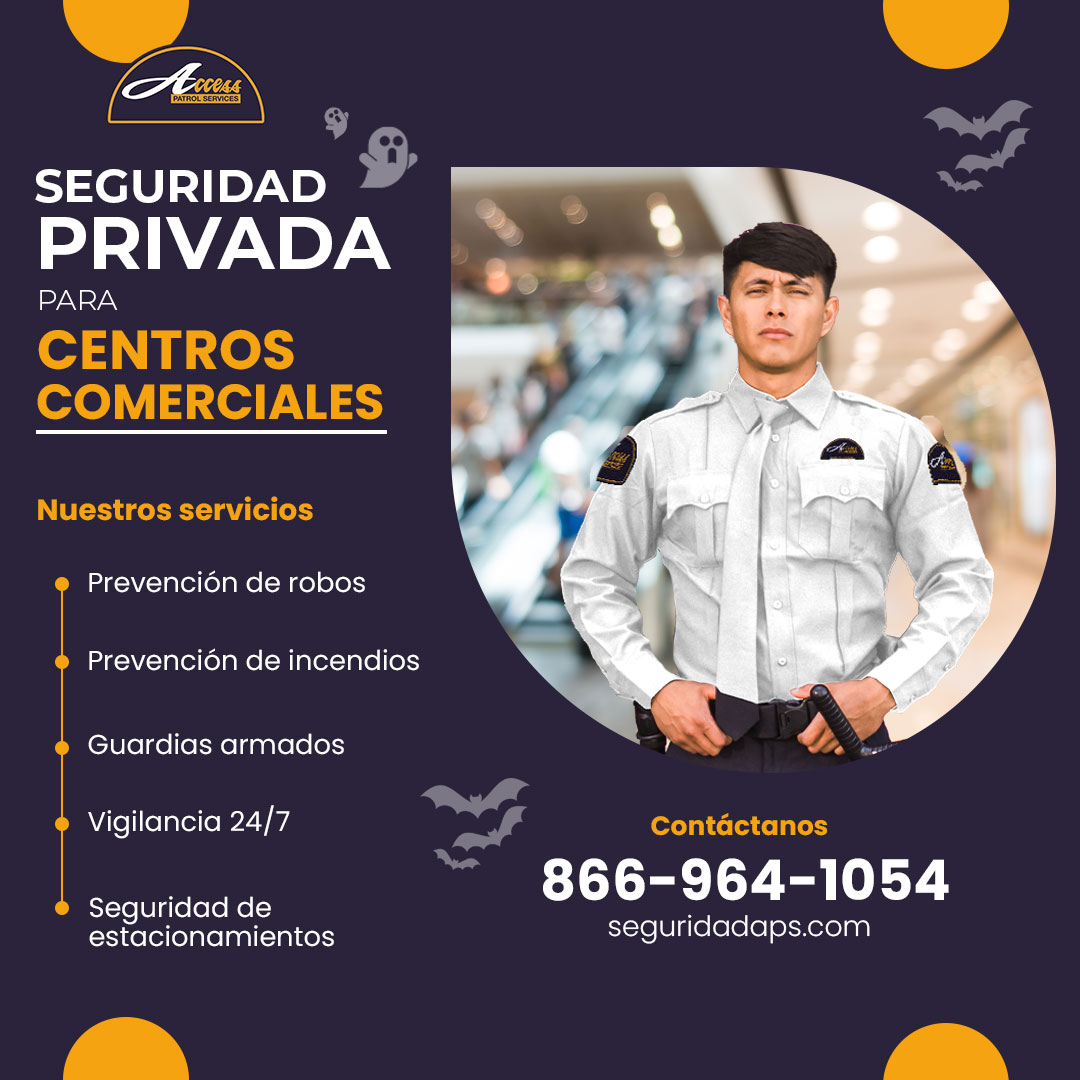 Seguridad y Vigilancia para Negocios en Chicago